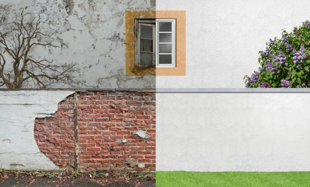 Best Mold Prevention Services  in Linwood, PA