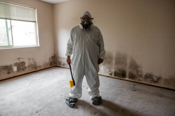 Mold Removal for HVAC Installations in Linwood, PA