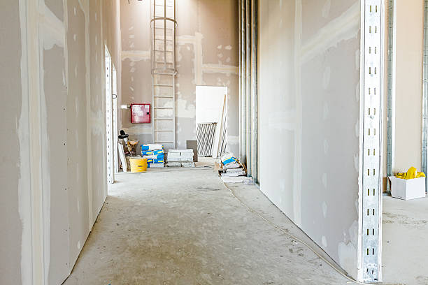 Best Mold Removal for HVAC Installations  in Linwood, PA