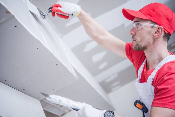 Best Crawl Space Mold Remediation  in Linwood, PA
